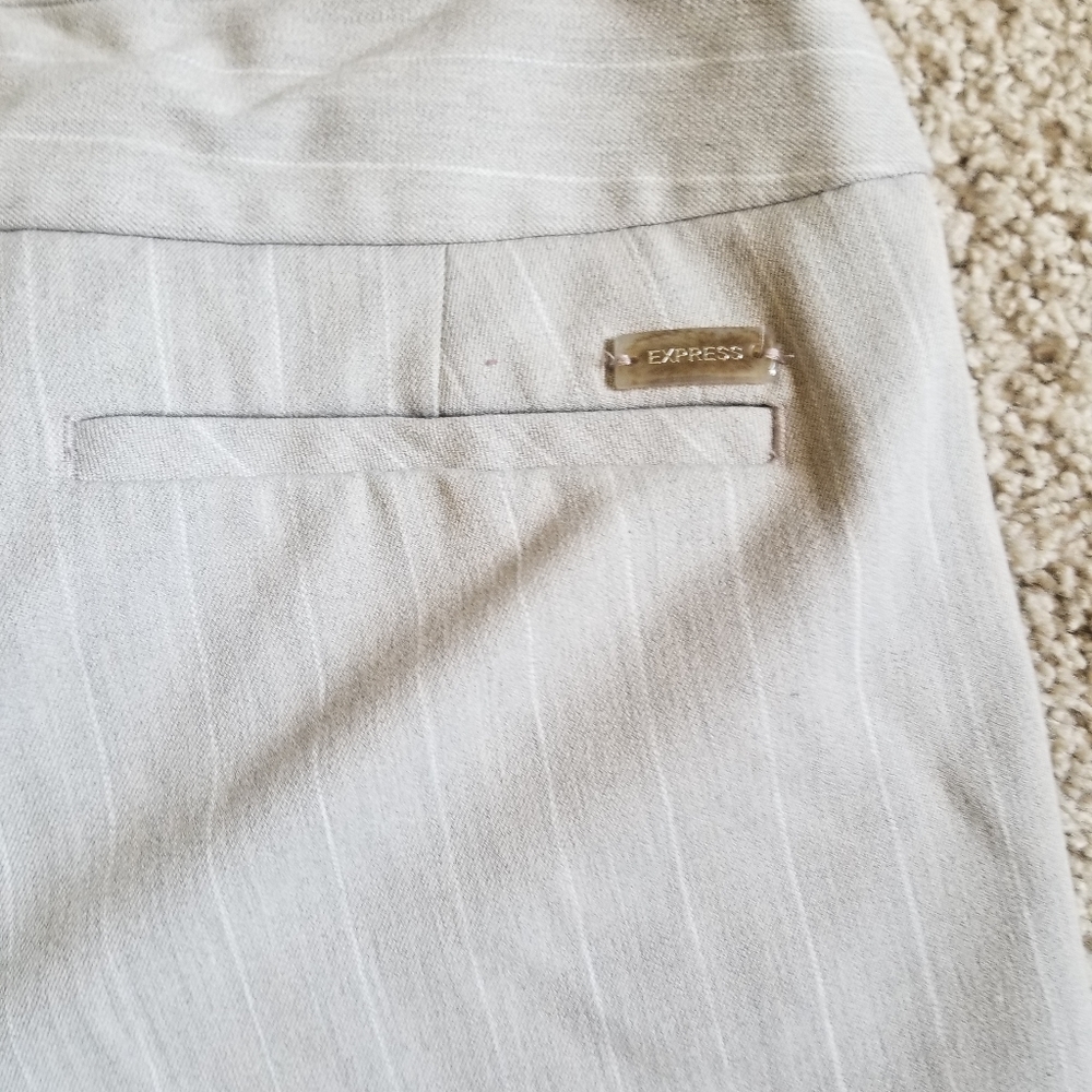 Express dress pants